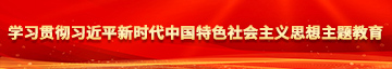 亚洲骚吊学习贯彻习近平新时代中国特色社会主义思想主题教育